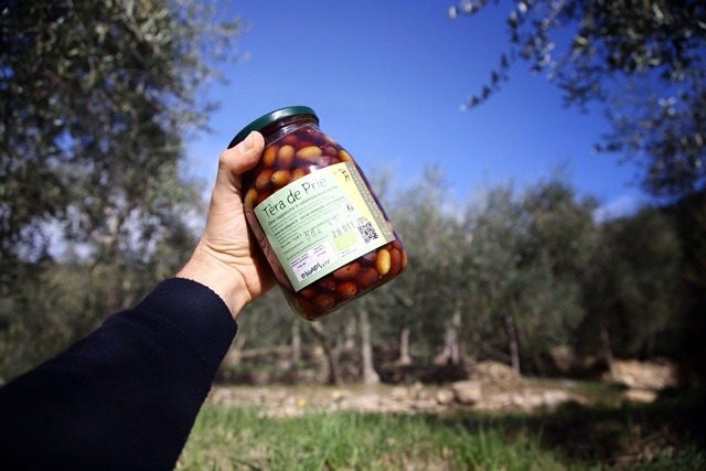 olive taggiasche in salamoia biologiche