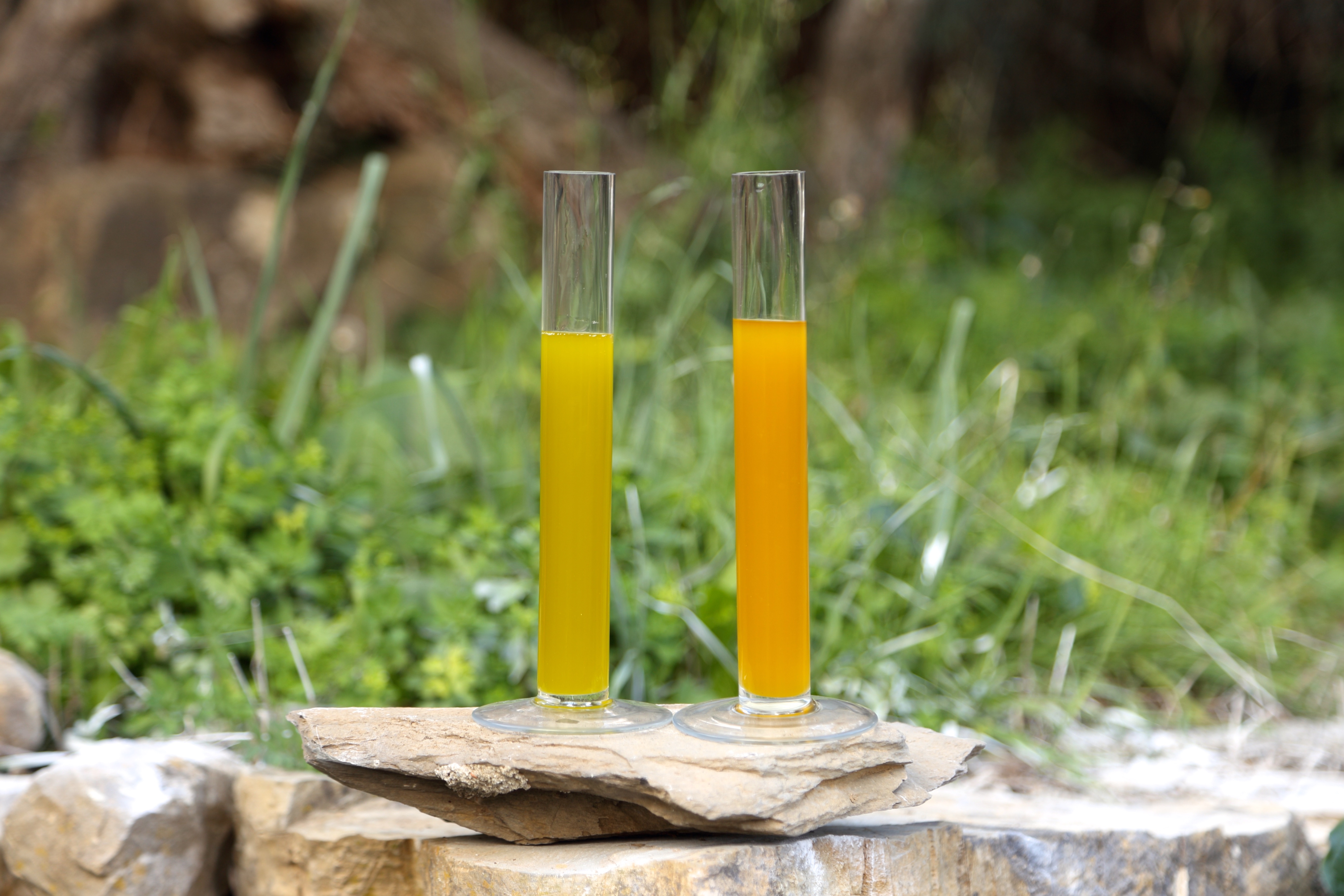 3 Consigli per conservare il tuo Olio Extra Vergine di Oliva