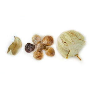 Pan de Fighe di Aurigo biologico
