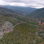 Oliveto biologico Tèra de Prie trattato con caolino AgriBioClay nell'Alta Valle Impero