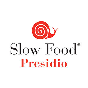 Presidio Slow Food dell'Olio Extra Vergine Italiano